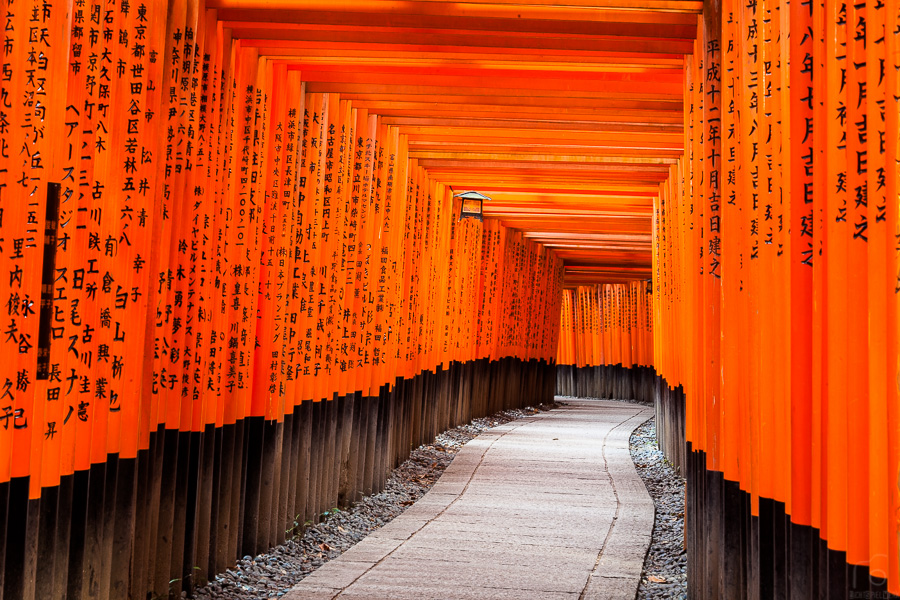 Torii