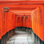 Torii-Allee