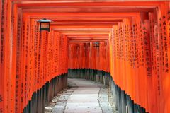 Torii-Allee