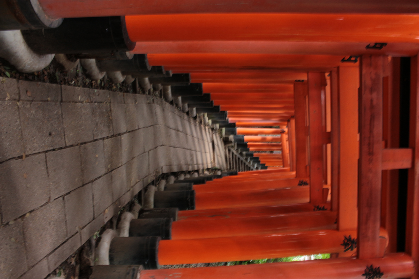 Torii Allee des Fushimi Inari-Taisha