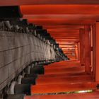 Torii Allee des Fushimi Inari-Taisha