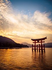 Torii am Abend