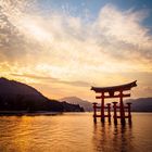 Torii am Abend