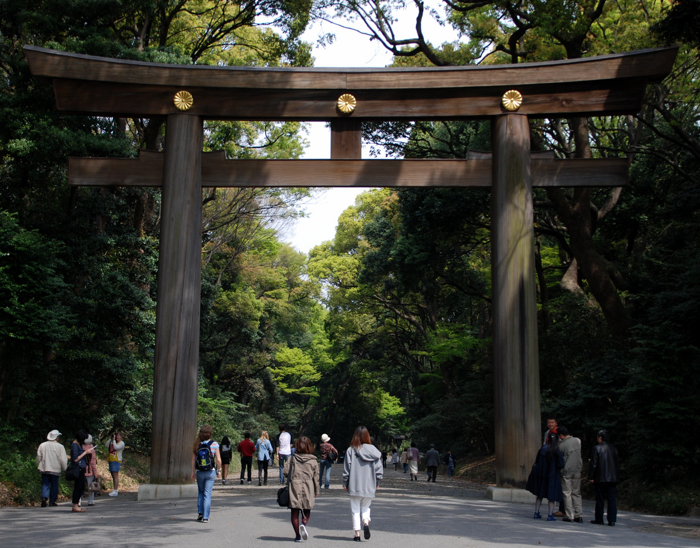 Torii am Meiji Schrein, Tokio