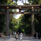 Torii am Meiji Schrein, Tokio