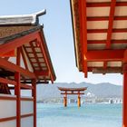 Torii auf der Insel Miyajima