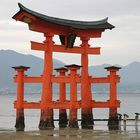 Torii beim Itsukushima-Schrein