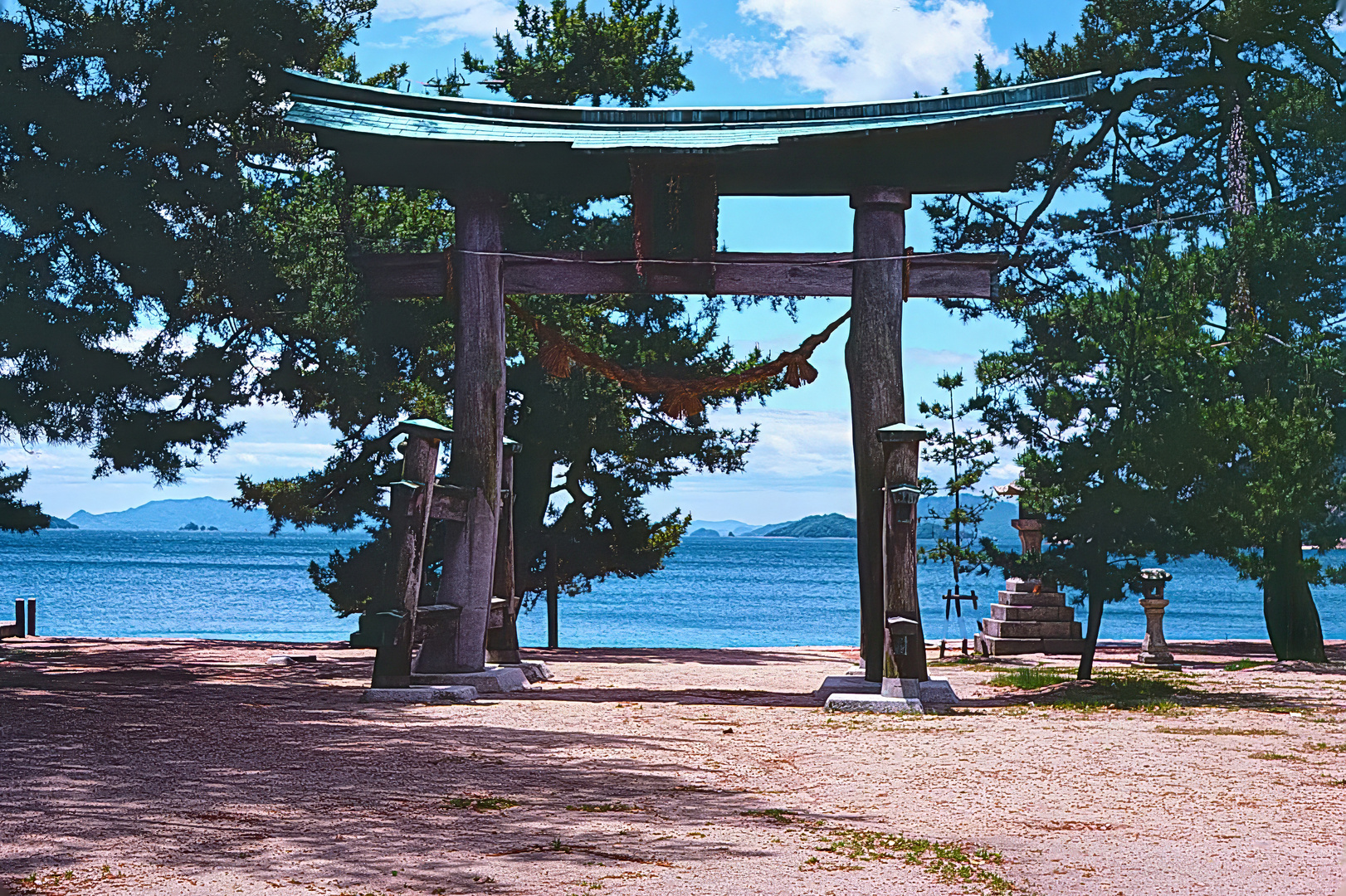 Torii