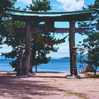 Torii