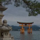 Torii des Itsukushima Schreins