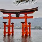 Torii des Itsukushima-Schreins