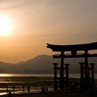 Torii des Itsukushima Schreins in der Abendstimmung