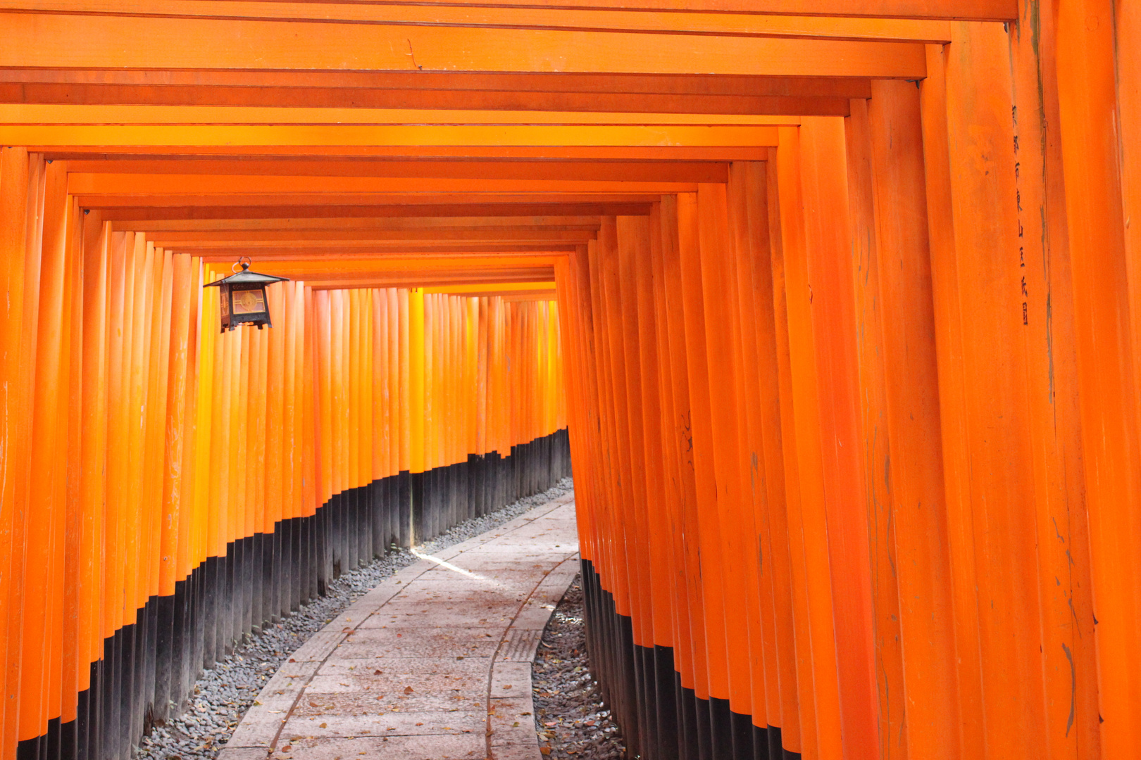 Torii du Fushii Inari Fushimi-ku