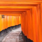 Torii du Fushii Inari Fushimi-ku