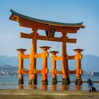 Torii gate Miyajima