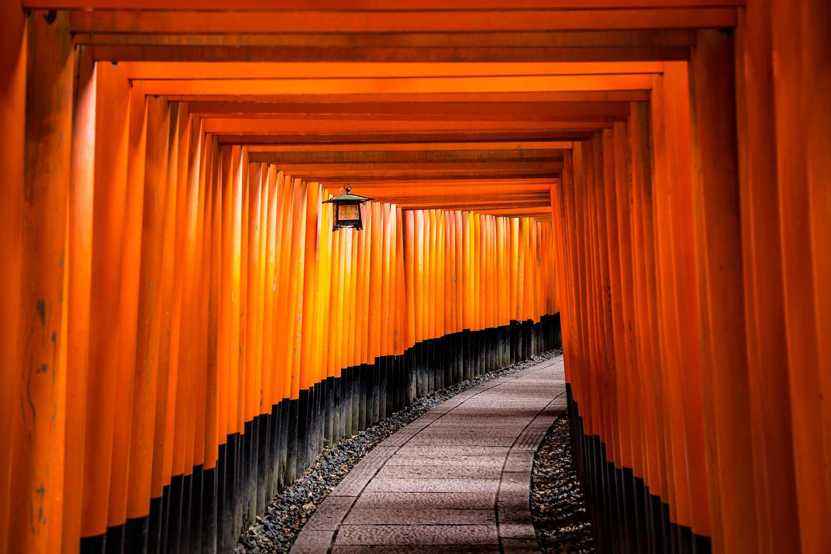 Torii Gates