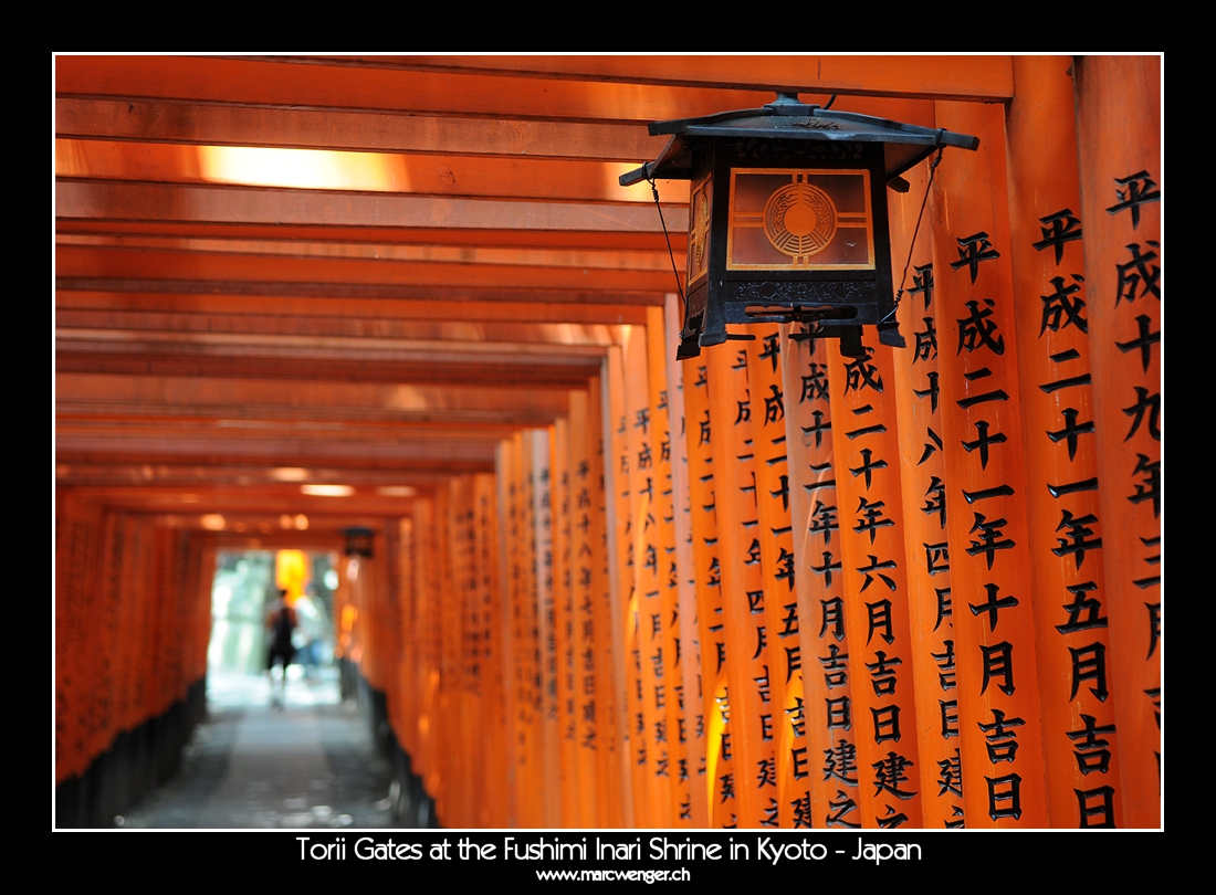 Torii Gates at the Fushimi Inari Shrine in Kyoto - Japan