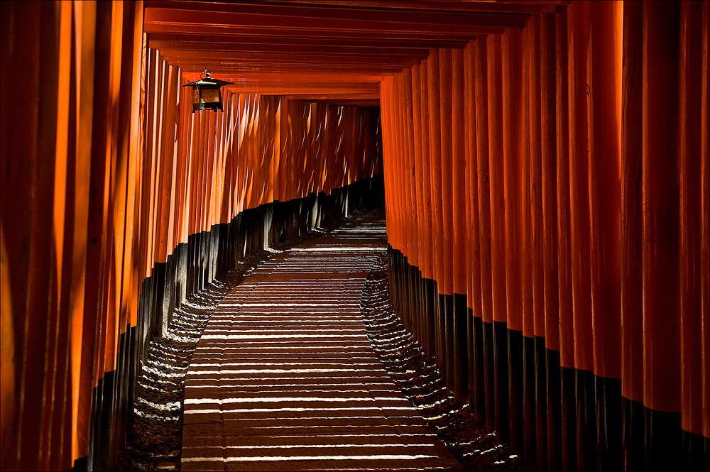 Torii im Inari Schrein