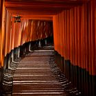 Torii im Inari Schrein