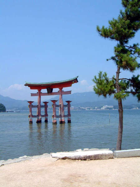 Torii in Miyajima