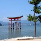 Torii in Miyajima