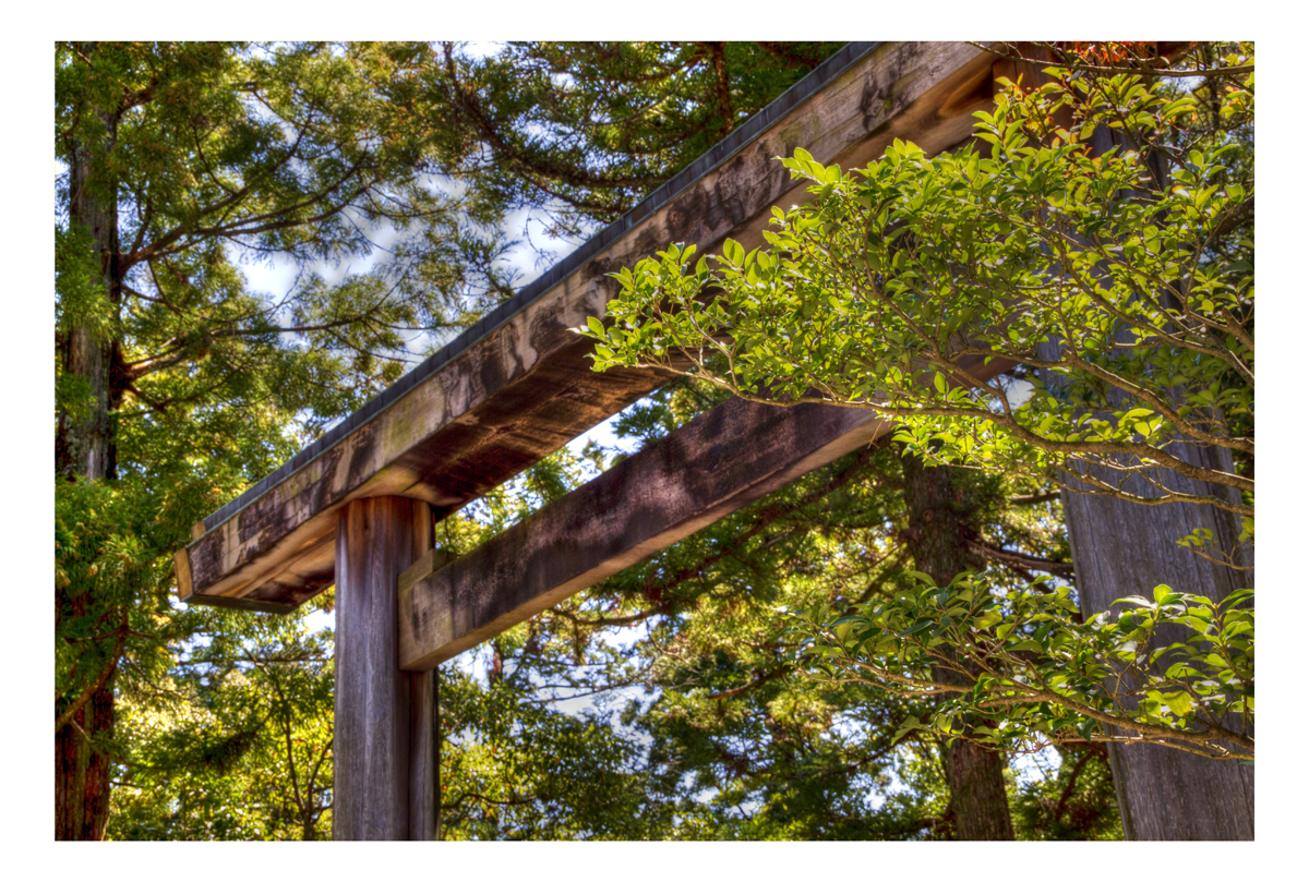 Torii [in the shrine]