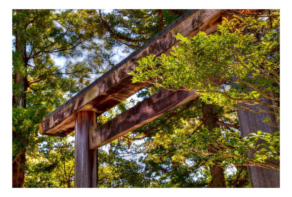 Torii [in the shrine]