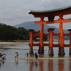 Torii Tor Miyajima bei Ebbe