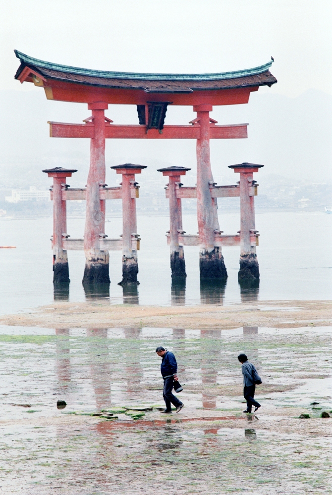 Torii-Tor vor der Insel Miyajima (5)