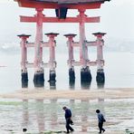 Torii-Tor vor der Insel Miyajima (5)