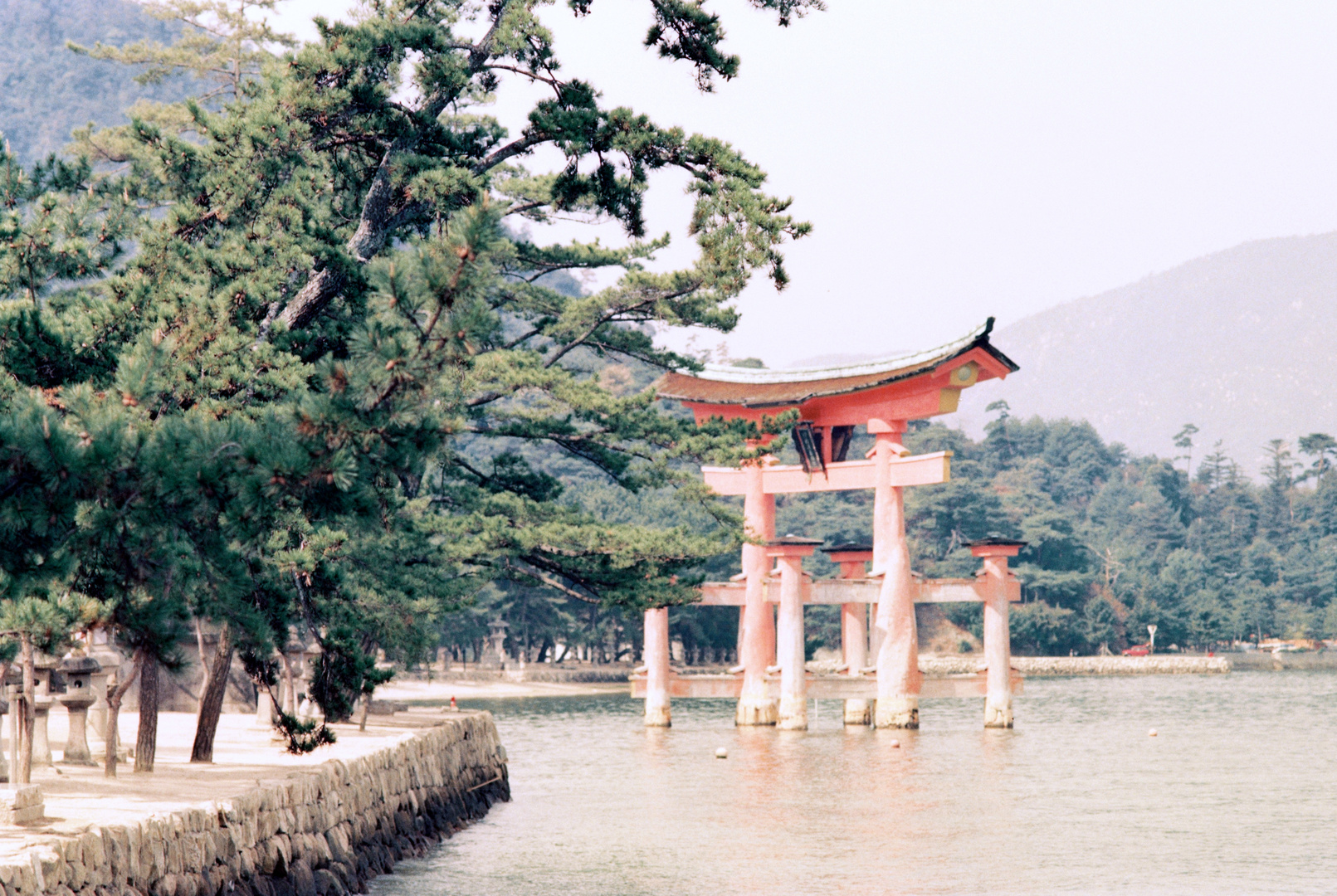 Torii-Tor vor der Insel Miyajima (7)
