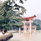 Torii-Tor vor der Insel Miyajima (7)