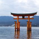 Torii vor Miyajima