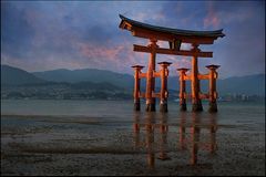 Torii vor Miyajima