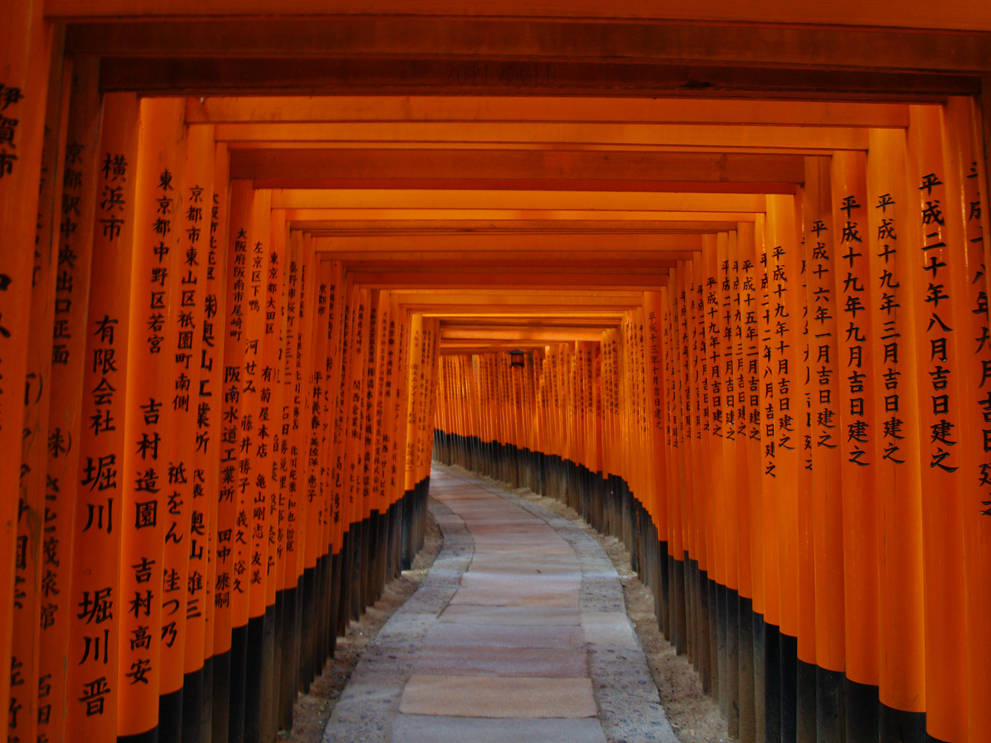 Toriis Fuhsimi inari taisha