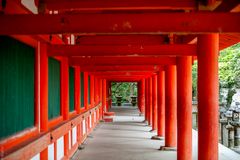 Torij im Kasuga Taisha Schrein