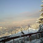 torino innevata