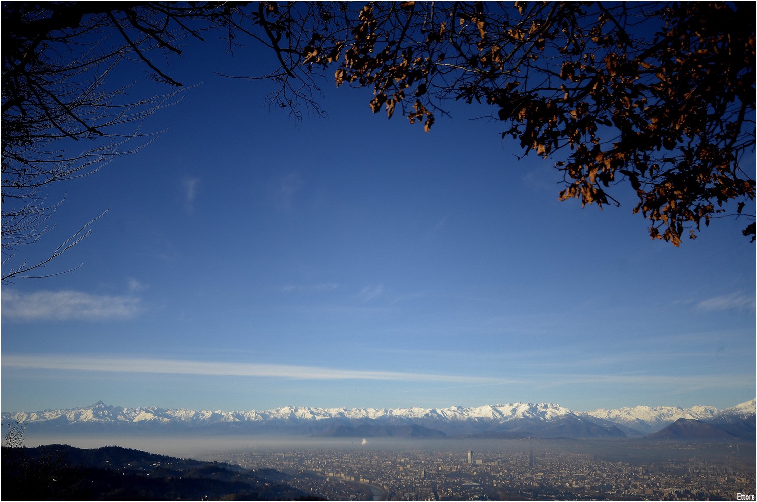 Torino la capitale sabauda