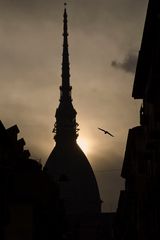 Torino - La mole al tramonto