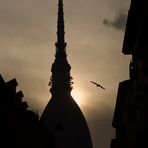 Torino - La mole al tramonto