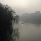 Torino. un vogatore nella nebbia,2007