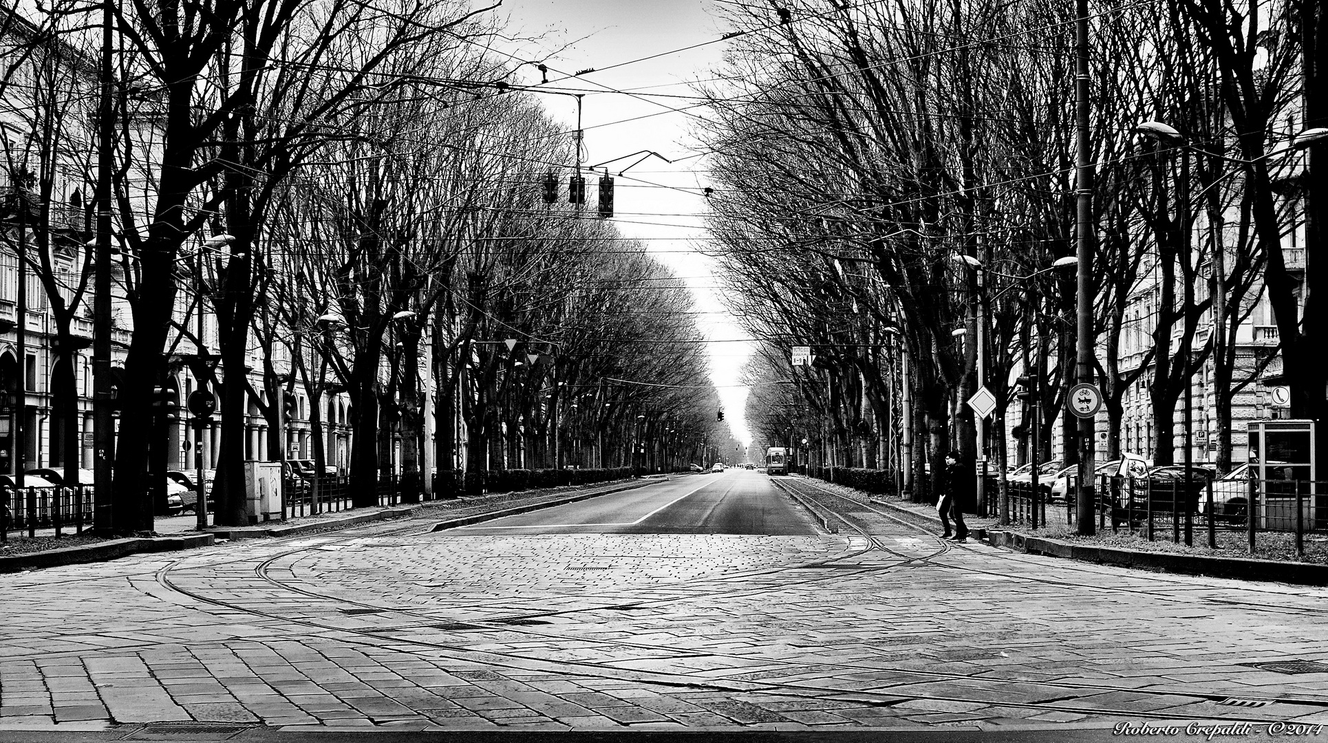 Torino, viale alberato