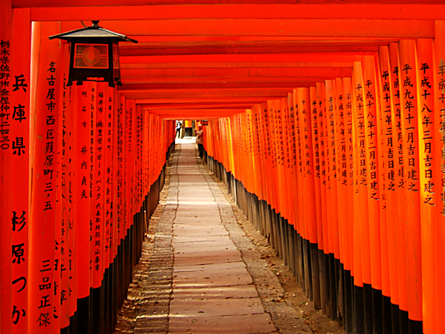 Toris im Fushimi Inari Shrine