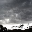 tormenta