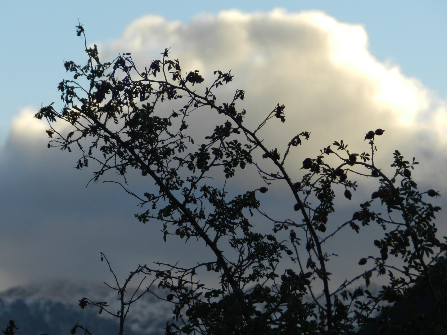 tormenta