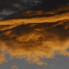 tormenta de amarillos en el atardecer