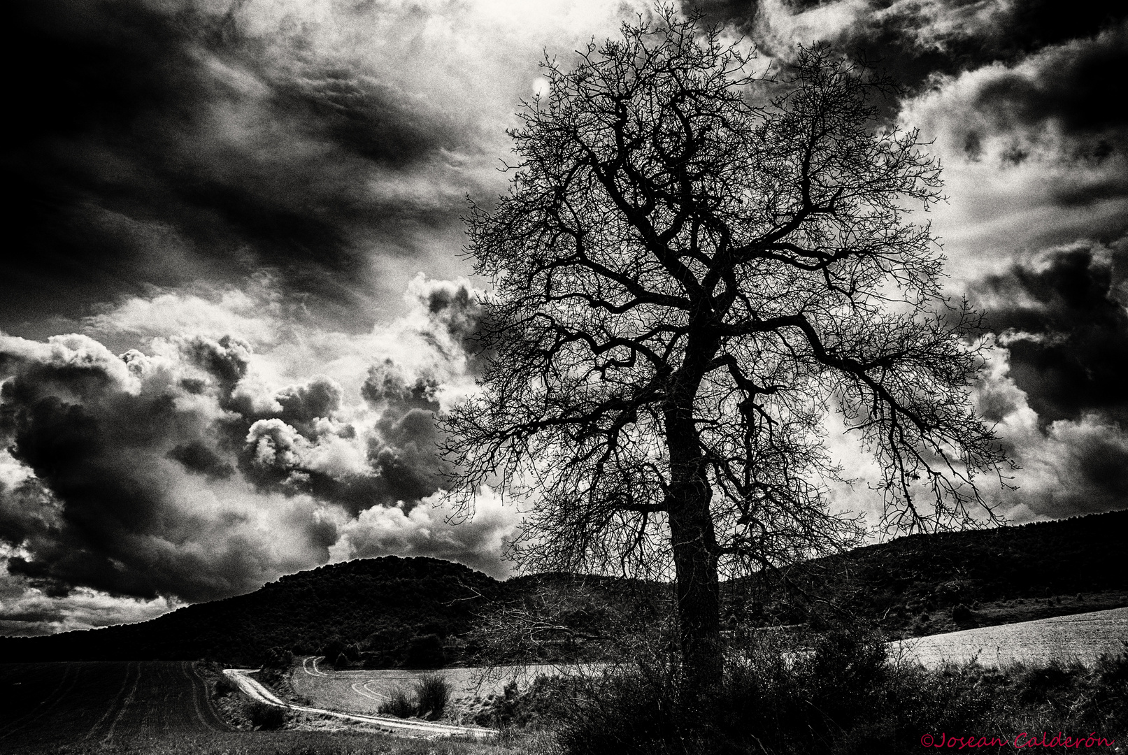 Tormenta de Invierno