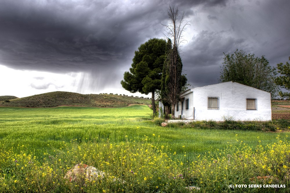 TORMENTA DE PRIMAVERA