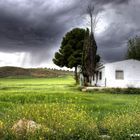 TORMENTA DE PRIMAVERA