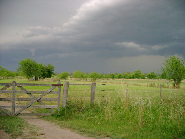 Tormenta de verano